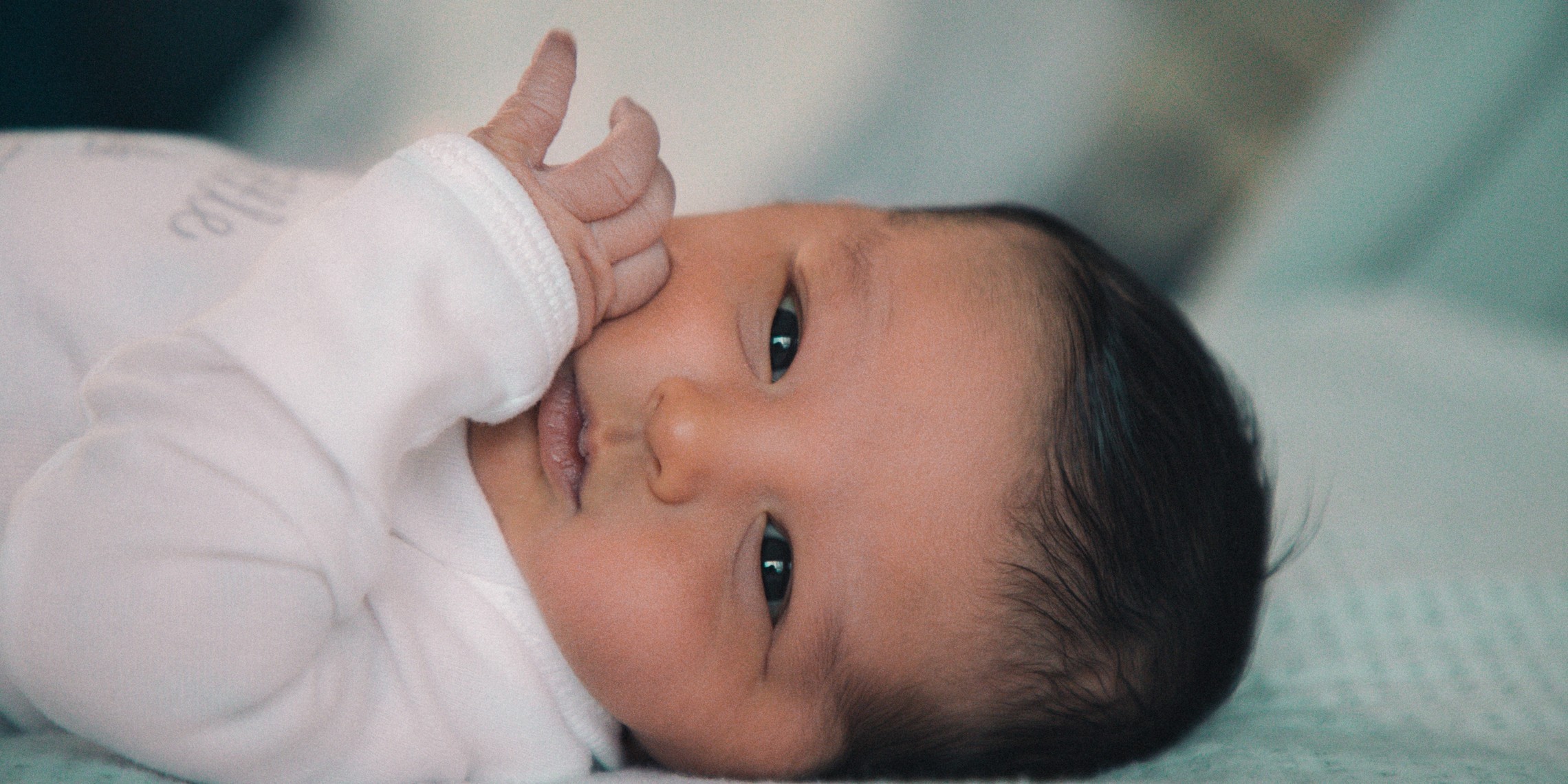 Gustavo Cultivo 1208557 Unsplash